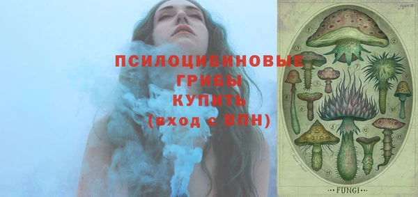 мяу мяу мука Пестово