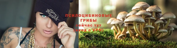 гидра Пересвет