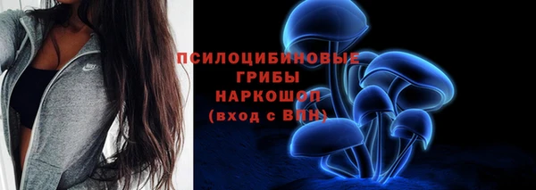 мяу мяу мука Пестово