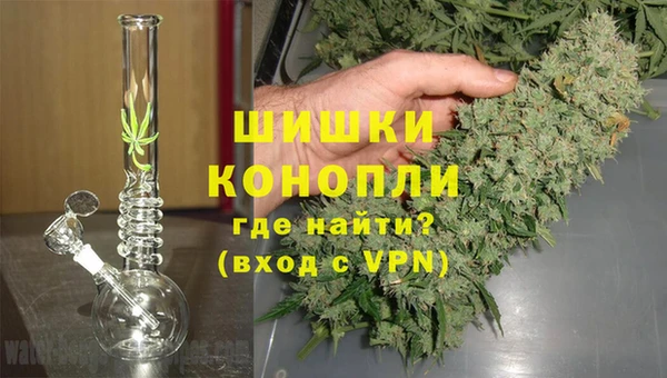 мяу мяу мука Пестово