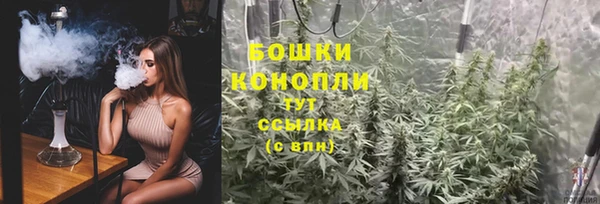 кокс Осташков