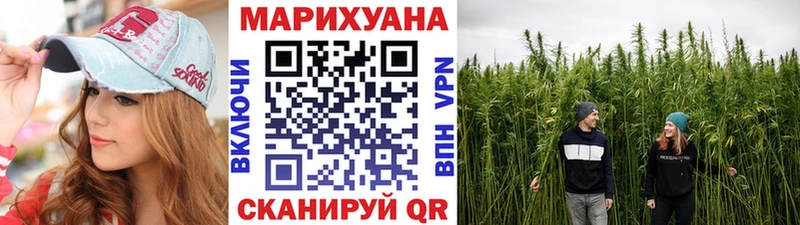 Канабис план Тайга